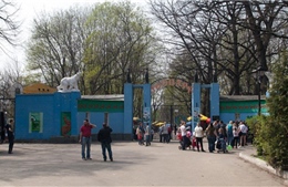 Động vật vườn thú Ukraine sắp chết đói vì khủng hoảng